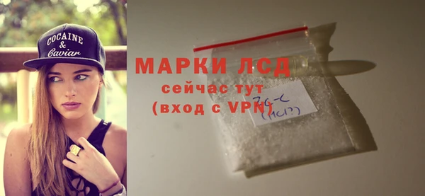 PSILOCYBIN Сатка