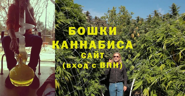 дмт Россошь
