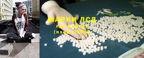 PSILOCYBIN Сатка