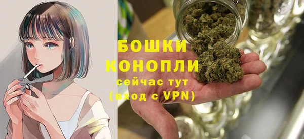 PSILOCYBIN Сатка