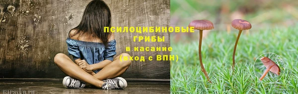 PSILOCYBIN Ростов