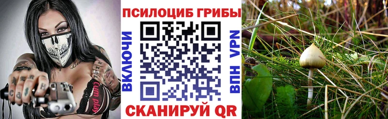 Галлюциногенные грибы мухоморы  Бугульма 